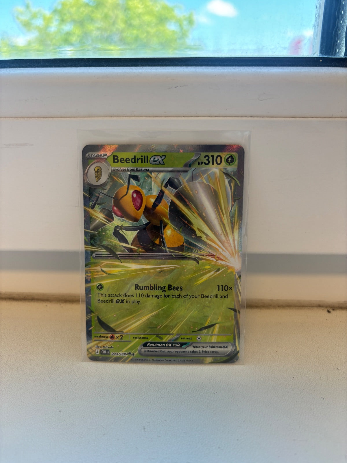 Beedrill ex